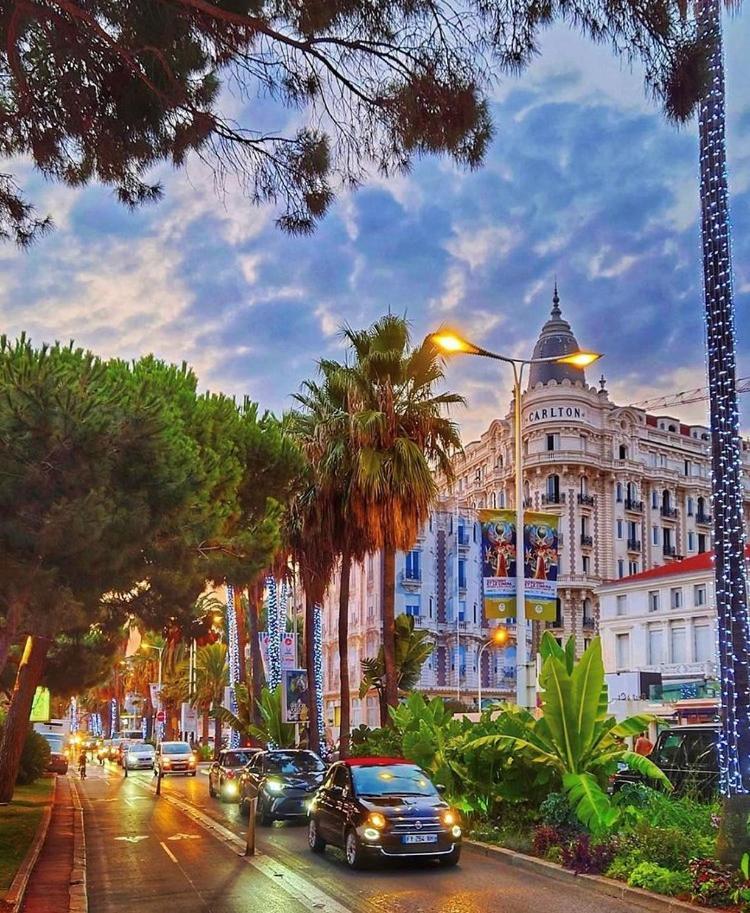 Superbe Studio Proche Palais Et Plages A Pieds Канны Экстерьер фото